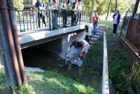 /album/kepgaleria-kepekj/a301394-292194850807166-1178338650-n-jpg/